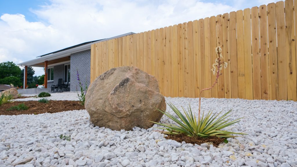 Bright Yucca next to large large sitting on white rock and new fence standing behind