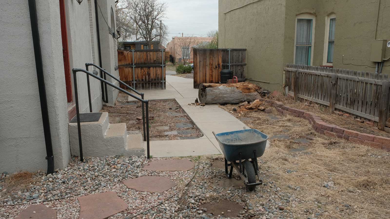 West Denver landscaping before: wide backyard view from house side showing blooming crabapple tree