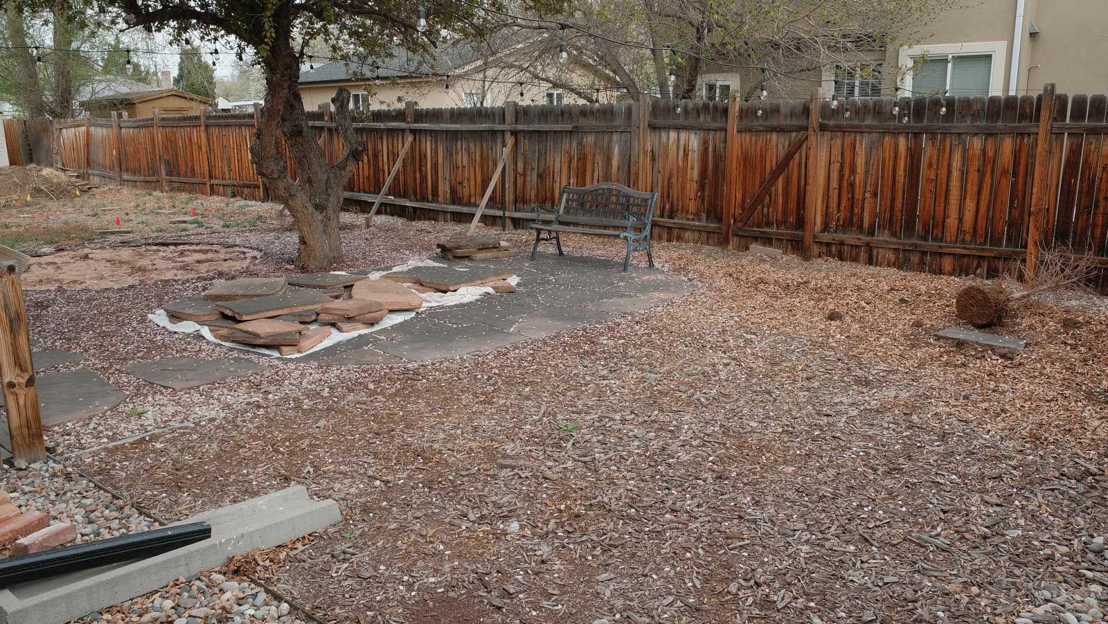 west-denver-landscaping-backyard-wide-view-rear-fence-before